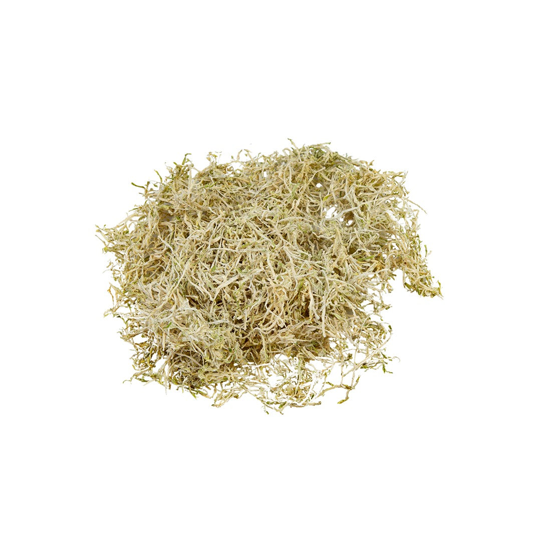 Close-up of leafy vegetable mix paired with nutrient-dense greens for added flavor