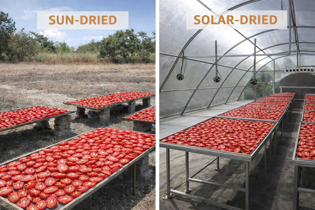 Sun Dried vs Solar Dried