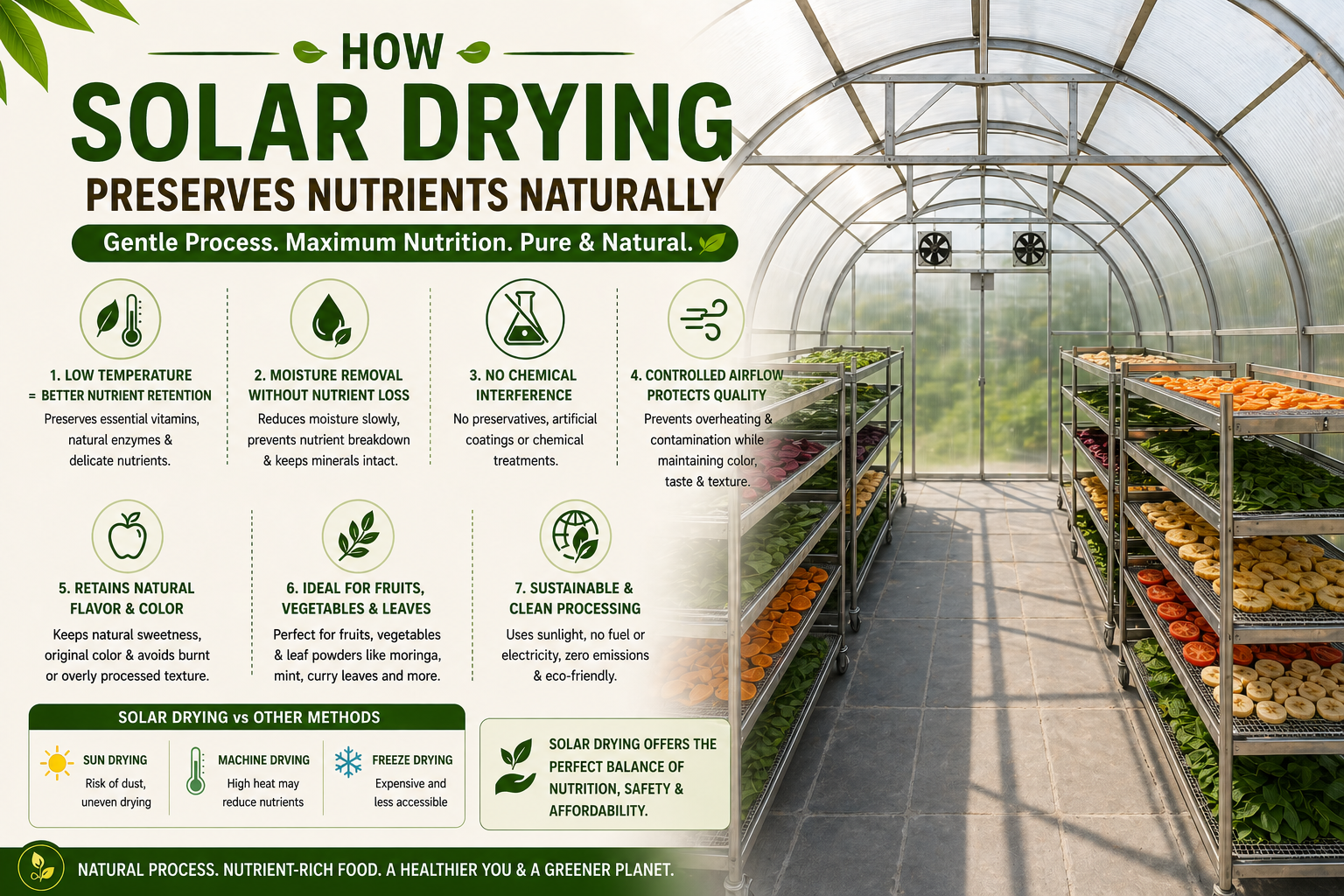 How Solar Drying Preserves Nutrients Naturally