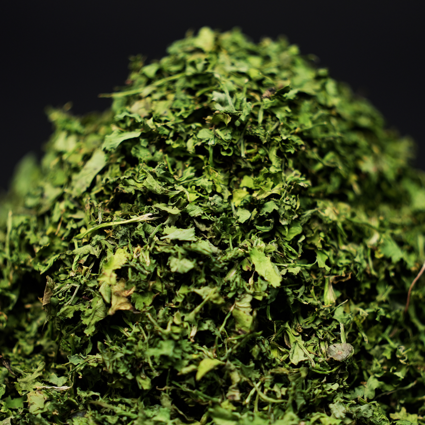 Dried coriander leaves blended into a fresh green chutney with lemon and chilli