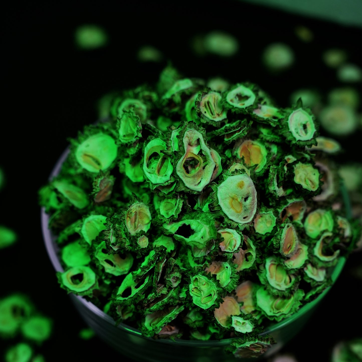 Dehydrated bitter gourd karela wholesale price bulk packaging for food industry and spice manufacturers