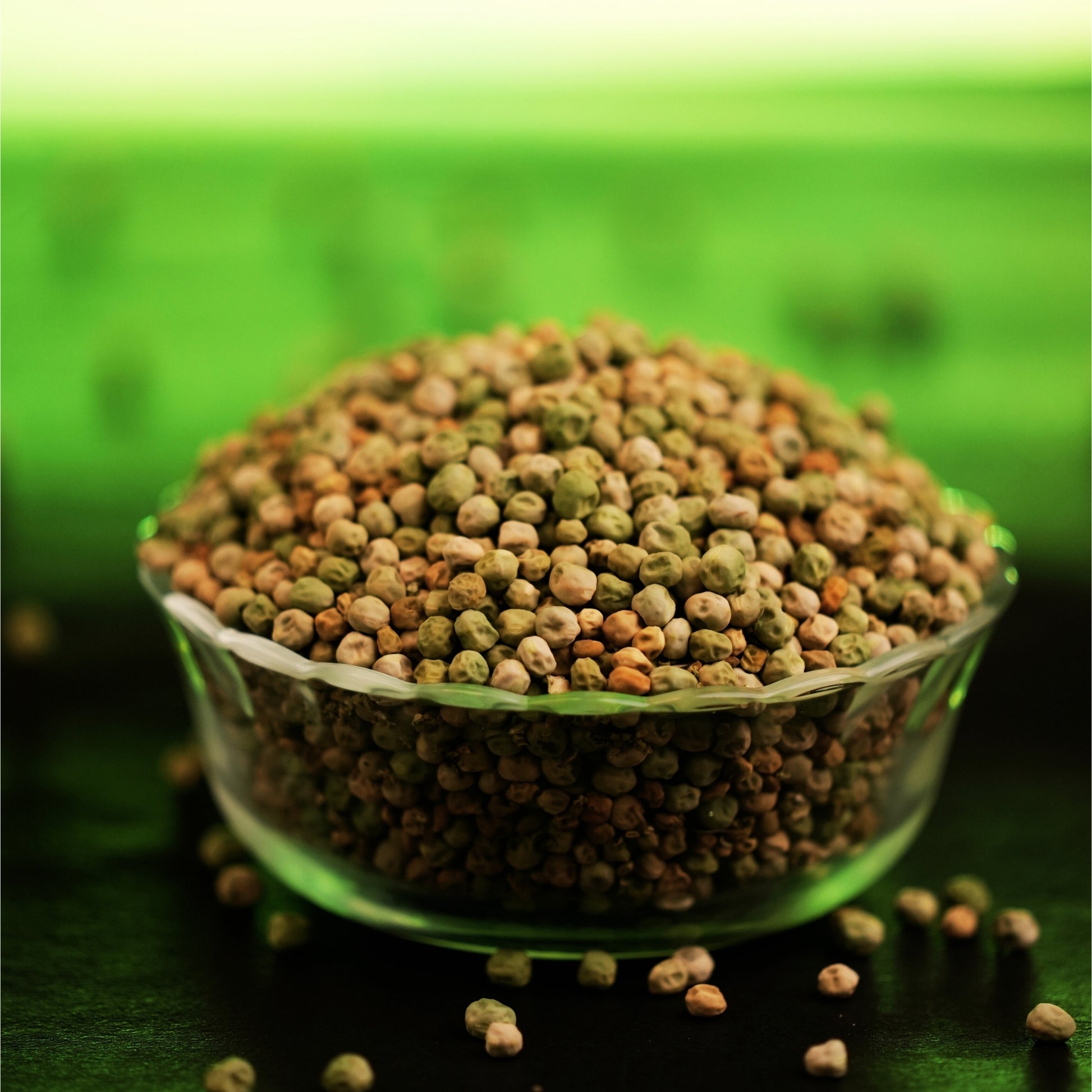 Dr. Renga's premium dehydrated green peas wholesale bulk supply for retailers and food distributors India