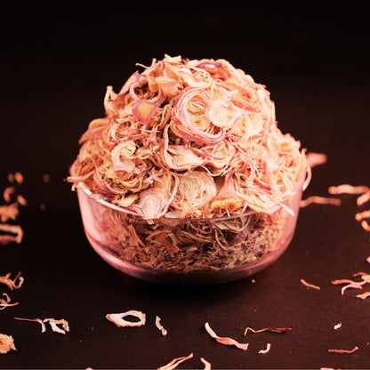 Dr. Renga's premium dehydrated red onion wholesale bulk supply for retailers and food distributors India