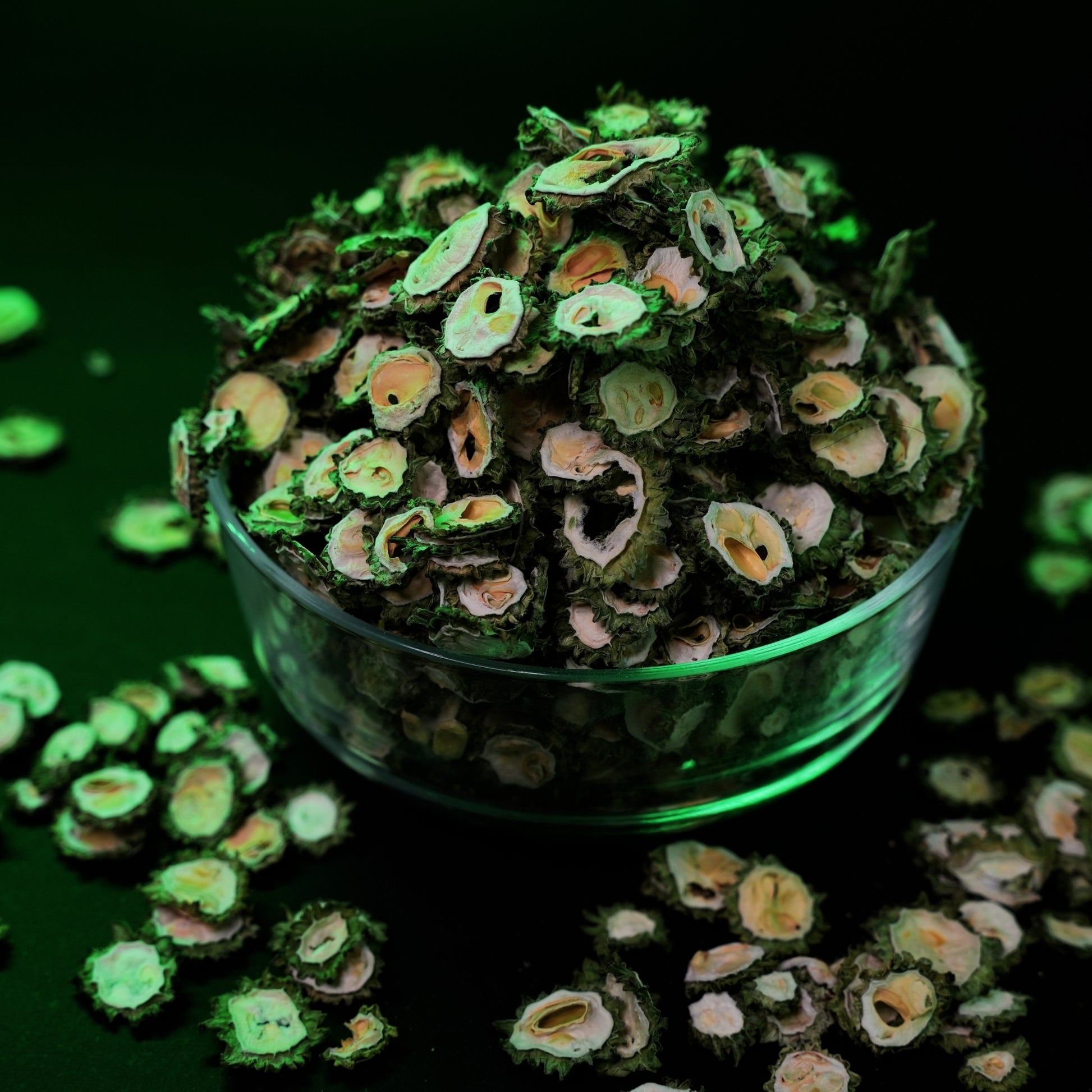 High quality dried karela slices bulk buy dehydrated bitter gourd supplier India