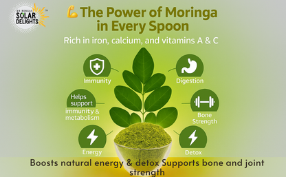 Dried moringa leaves – solar dried moringa leaves ready to be ground into healthy leaf powder.