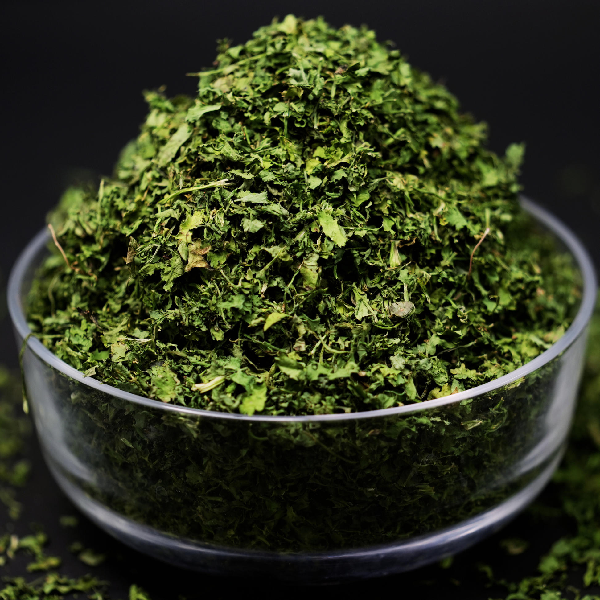 Dr. Renga's solar dried coriander leaves sealed pack – front view